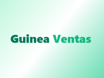 Guinea Ventas - Panel de inicio